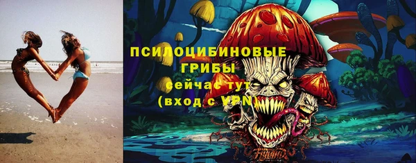 амф Белокуриха