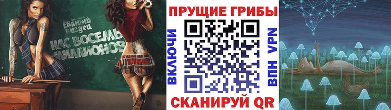 MEGA ONION  Плёс  Галлюциногенные грибы Psilocybine cubensis  купить  сайты 